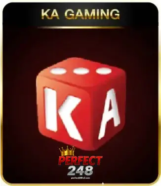 perfect248-เกม (5)